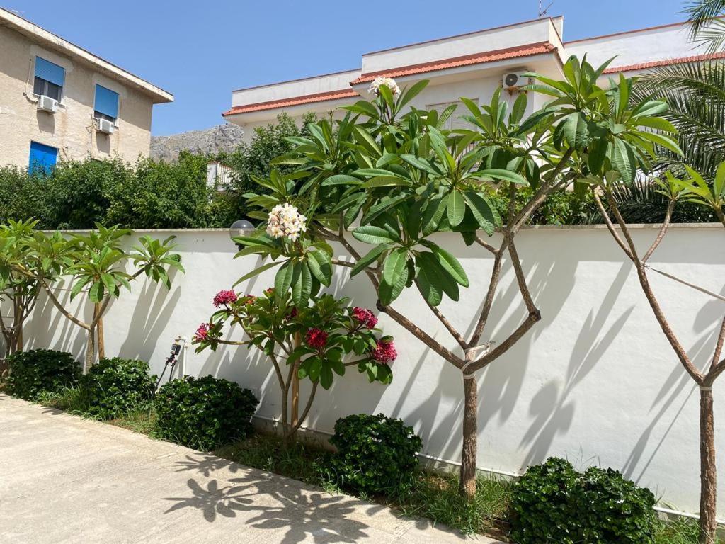 Villa Delle Pomelie Isola delle Femmine Exterior photo